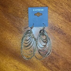 🆕 Express Earrings
